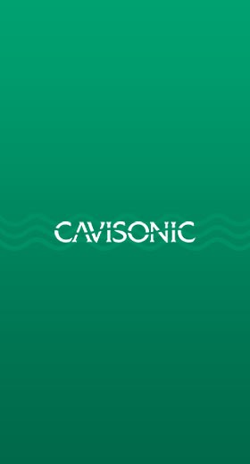 Шаблоны для сайта компании «Сavisonic»