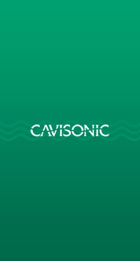 Шаблоны для сайта компании «Сavisonic»